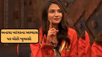 અનાયા બાંગરે MA કેવી રીતે પાસ કર્યું? ચોંકાવનારો ખુલાસો થયો, જુઓ વીડિયો