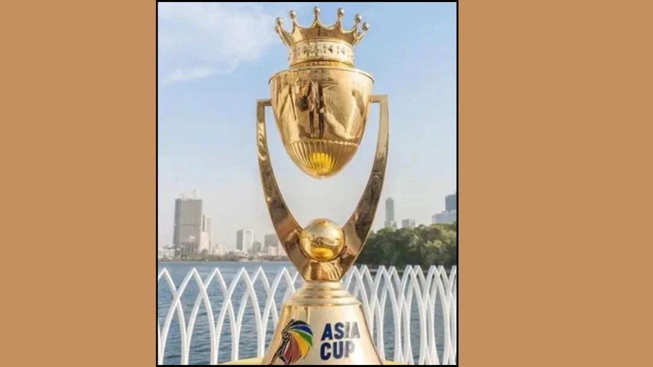 આની ડિઝાઇન કમળના ફૂલથી પ્રેરિત છે, જેને એશિયામાં શાંતિ, એકતા અને સંવાદિતાનું પ્રતીક માનવામાં આવે છે. કમળની પાંખડીઓ એશિયન ફૂટબોલ કન્ફેડરેશન (AFC) ના પાંચ પેટા-સંઘનું પ્રતિનિધિત્વ કરે છે. વિજેતા દેશના નામ પાયા પર કોતરેલા છે, જે મુખ્ય ભાગથી અલગ કરી શકાય છે.