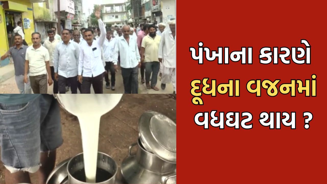 “પંખાના કારણે દૂધનું વજનમાં વધઘટ થાય છે”- ભ્રષ્ટાચારના આક્ષેપ સામે કોદરામ ગામની દૂધમંડળીના ચેરમેનનો વિચીત્ર દાવો