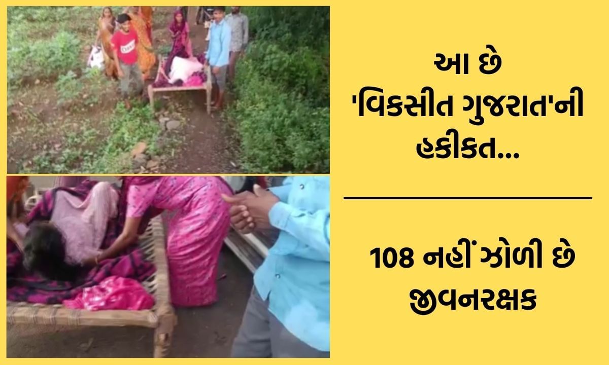વિકસીત ગુજરાતનો ઝોળીમાં ઝૂલતો વિકાસ, ખરાબ રસ્તાને કારણે ઈજાગ્રસ્ત પ્રસુતાને ઝોળીમાં લઈ જવા લાચાર પરિવાર- જુઓ Video