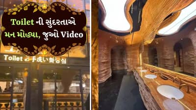 લો બોલો, આ Public Toilet ફરવાનું સ્થળ બન્યું, સુંદરતા જોઈને લોકો દંગ રહી ગયા; VIDEO વાયરલ થઈ રહ્યો છે