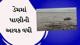 પાટાડુંગરી ડેમમાં પાણીની પુષ્કળ આવક, નીચાણવાળા ગામમાં અપાયું એલર્ટ