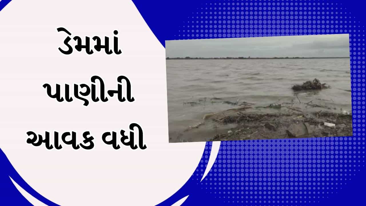 Dahod Rain : પાટાડુંગરી ડેમમાં પાણીની પુષ્કળ આવક, નીચાણવાળા ગામમાં અપાયું એલર્ટ, જુઓ Video