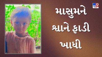 રાજકોટના શાપરમાં રખડતા શ્વાનનો બાળકીને ફાડી ખાધી, 5 વર્ષની માસુમનું મોત, જુઓ Video