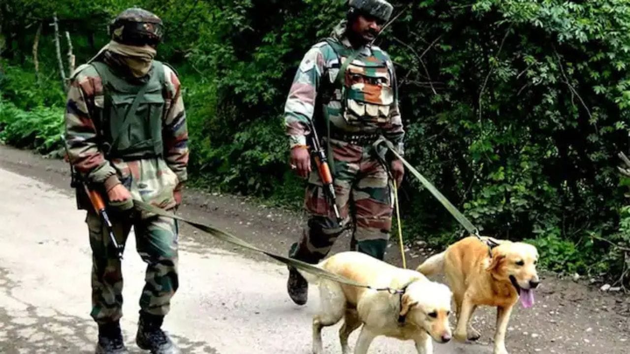 આ એશિયાનું સૌથી મોટું અને સૌથી જૂનું લશ્કરી ડોગ તાલીમ કેન્દ્ર છે, જેની સ્થાપના 1960માં થઈ હતી. દર વર્ષે અહીં 200 થી વધુ કૂતરાઓને વિવિધ કેટેગરીમાં તાલીમ આપવામાં આવે છે.