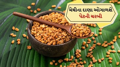 સામાન્ય રીતે મેથીના દાણાને મસાલા તરીકે ઓળખવામાં આવે છે પરંતુ તે માત્ર એક મસાલો નથી પણ એક દવા છે જે વજન ઘટાડવા અને પેટની ચરબી ઘટાડવાની સાથે ઘણા અન્ય ફાયદા પણ આપે છે. જો તમે તેને તમારા દિનચર્યામાં સામેલ કરવાનું વિચારી રહ્યા છો, તો તમે ડૉક્ટરની સલાહ લઈને વિલંબ કર્યા વિના તે કરી શકો છો. પરંતુ ચોક્કસપણે ડૉક્ટરની સલાહ લો. અહીં અમે તમને મેથીના દાણાના કેટલાક ફાયદા જણાવી રહ્યા છીએ જે વજન ઘટાડવાની સાથે તમને ઘણી રીતે મદદ કરી શકે છે.
