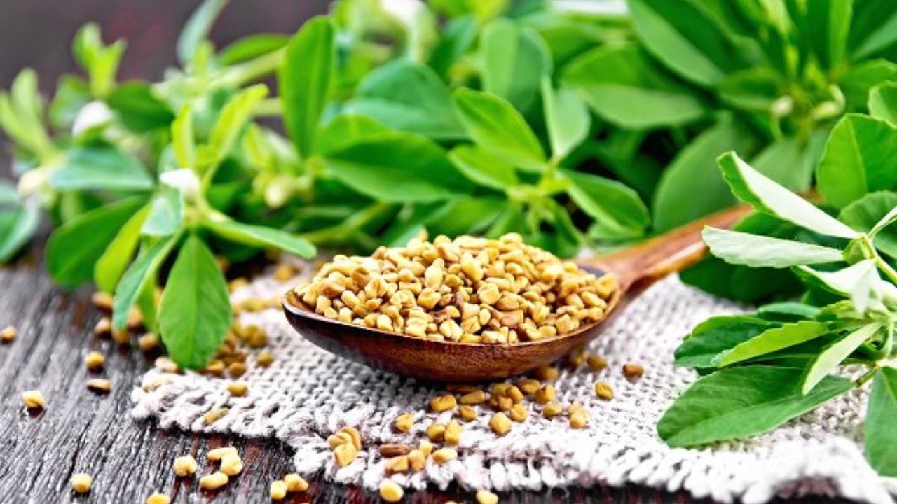 કોલેસ્ટ્રોલ ઘટાડે છે: મેથીના દાણા શરીરમાં ખરાબ કોલેસ્ટ્રોલ (LDL) નું સ્તર ઘટાડવામાં મદદરૂપ થાય છે, જે તમારા હૃદયને પણ સ્વસ્થ રાખે છે.
