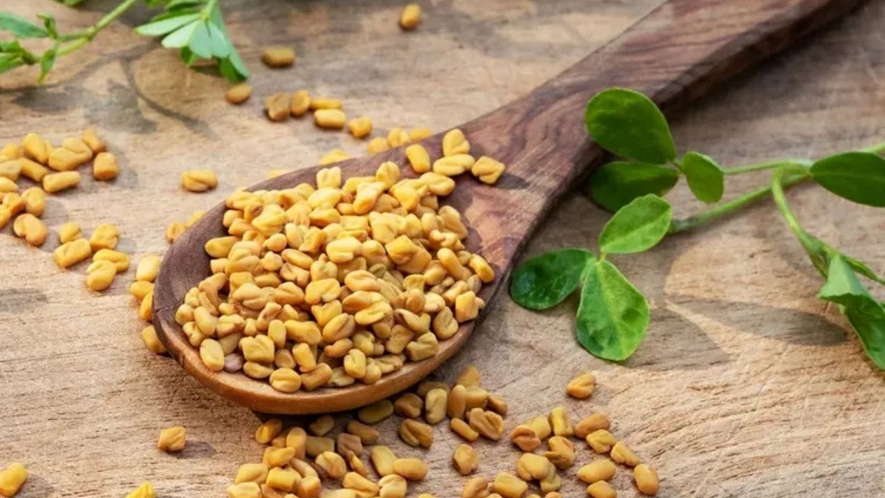 વજન ઘટાડવામાં ખૂબ મદદરૂપ: જો તમે સ્વસ્થ આહાર અને લાઈફસ્ટાઈલ સાથે મેથીના દાણાનું સેવન કરો છો, તો તે તમારા વજન ઘટાડવાની યાત્રામાં મદદ કરી શકે છે. તે તમારા ચયાપચયને વેગ આપે છે. જે શરીરને વધારાની ચરબી બાળવામાં મદદ કરે છે. તે તમારા પાચનને પણ ઝડપી બનાવે છે, જેના કારણે ખોરાક સારી રીતે પચે છે.
