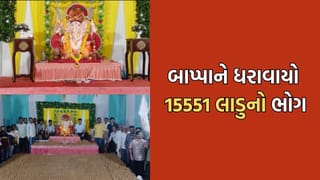 જામનગર: જય અંબે મિત્ર મંડળનો લાડુ મહોત્સવ, ગણેશજી માટે બનાવવામાં આવ્યા 15,551 લાડુ- Video