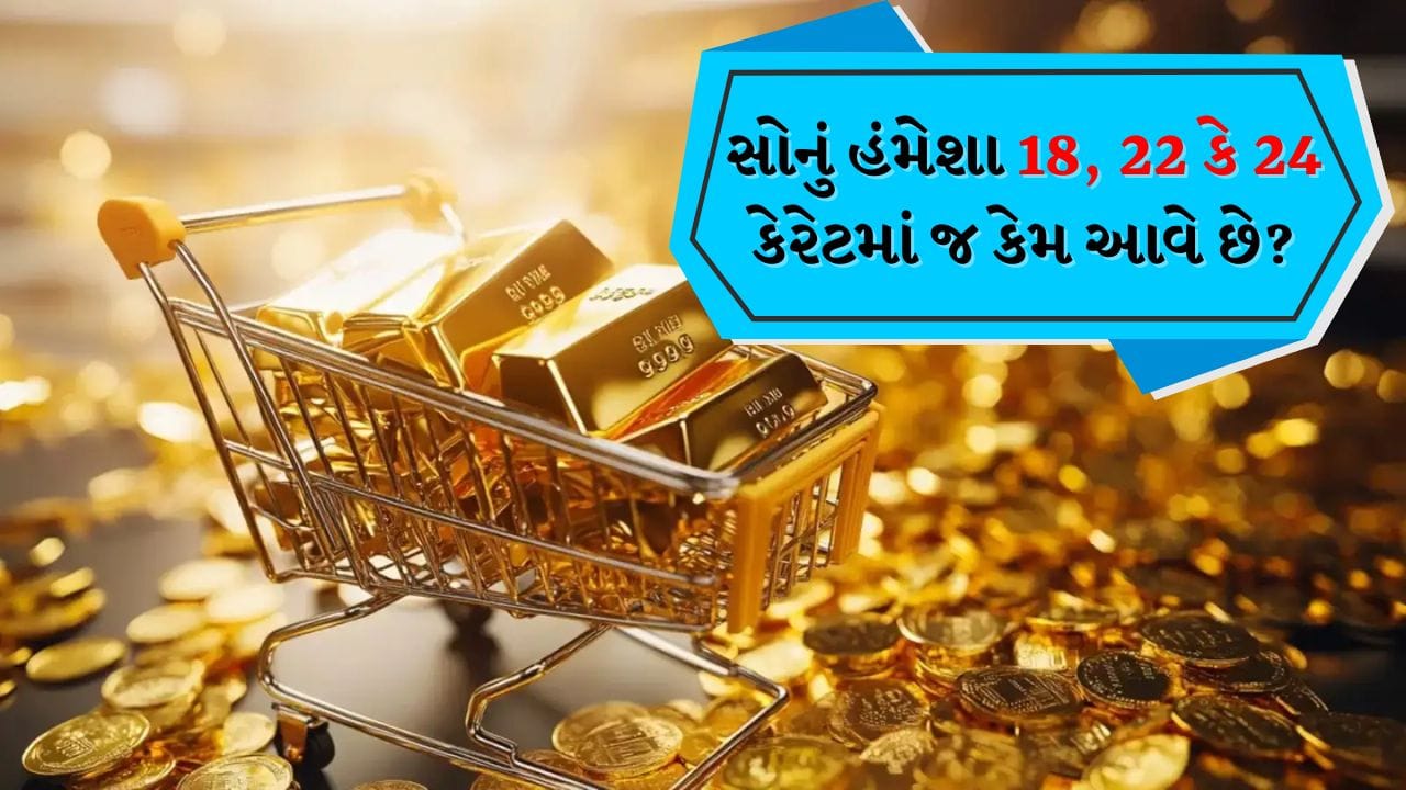 Types Of Gold: ભારતીય સંસ્કૃતિમાં સદીઓથી સોનાનું એક ખાસ સ્થાન રહ્યું છે. લગ્ન, તહેવારો અને ધાર્મિક વિધિઓમાં સોનાના દાગીનાની ચમક દરેક પ્રસંગને વધુ ખાસ બનાવે છે. સોનું માત્ર ઘરેણાંના રૂપમાં જ નહીં પણ રોકાણ તરીકે પણ મહત્વપૂર્ણ છે.