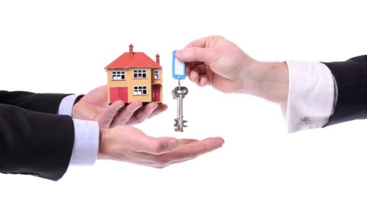 હાઇકોર્ટે કહ્યું કે, કૃતિકાનો દાવો કાયદેસર રીતે ટકાઉ નથી, કારણ કે હિન્દુ ઉત્તરાધિકાર કાયદા મુજબ મિલકત ફક્ત દાદાની વિધવા પત્ની અને બાળકોમાં વહેંચવામાં આવશે. 
