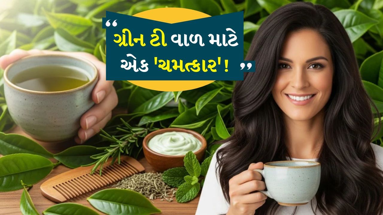 Green tea for hair: ગ્રીન ટી વાળ માટે એક ‘ચમત્કાર’! ખરતા વાળને અટકાવશે, ગ્રોથમાં મળે છે ફાયદો