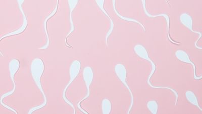 IVFએ મહિલાઓની જિંદગી સરળ બનાવી છે. જે કોઈ કારણોસર સંતાન સુખ થી વંચિત રહી જાય છે. જો તમે બેબી પ્લાનિંગ કરી રહ્યા છો અને સારવાર અને દવાઓ લીધા બાદ બેબી પ્લાનિંગ નિષ્ફળ રહે છે તો તમે IVFનો સહારો લઈ શકો છો.