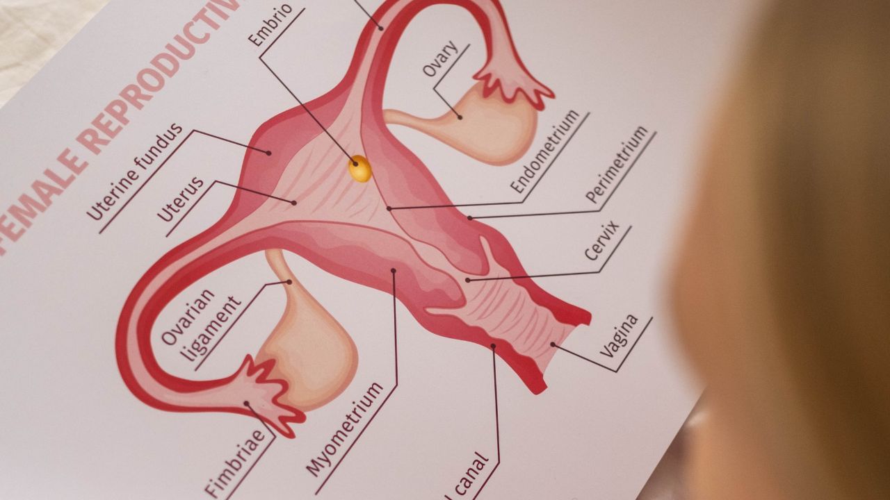 डॉक्टरों का कहना है कि महिलाएं अक्सर सिंथेटिक कपड़े या टाइट अंडरवियर पहनती हैं। ऐसे कपड़े शरीर की नमी और गर्मी दोनों बढ़ाते हैं। इससे अंतरंग क्षेत्र में बैक्टीरिया या यीस्ट संक्रमण का खतरा बढ़ सकता है। अगर महिलाएं लगातार ऐसे कपड़े पहनती हैं, तो गंभीर समस्याएं हो सकती हैं। इसलिए, दिन में एक बार अपने अंडरवियर बदलें और सूती अंडरवियर पहनें।