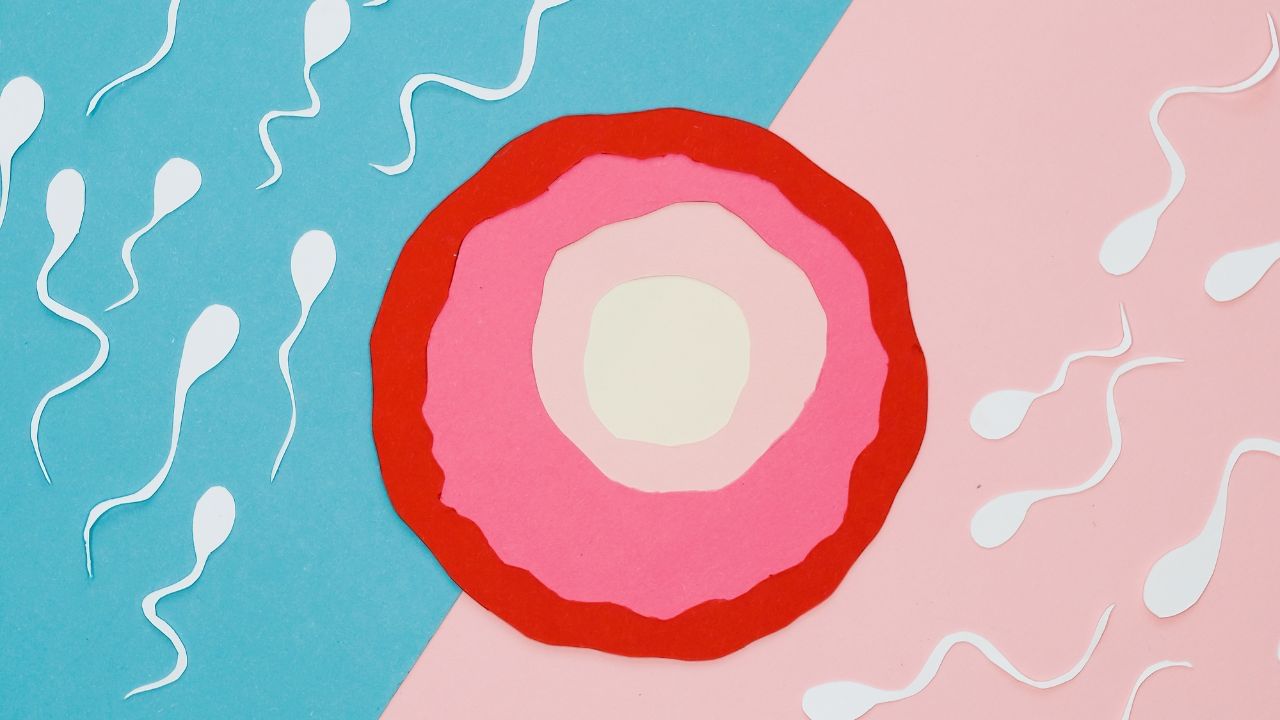 આવી સ્થિતિમાં, તમે 30, 35, 40, 45, 50 વર્ષની ઉંમર સુધી સરળતાથી IVF કરાવી શકો છો. આજની ટેકનોલોજી એટલી અદ્યતન છે કે તે સરળતાથી અને ખૂબ જ સારી રીતે થઈ રહી છે.