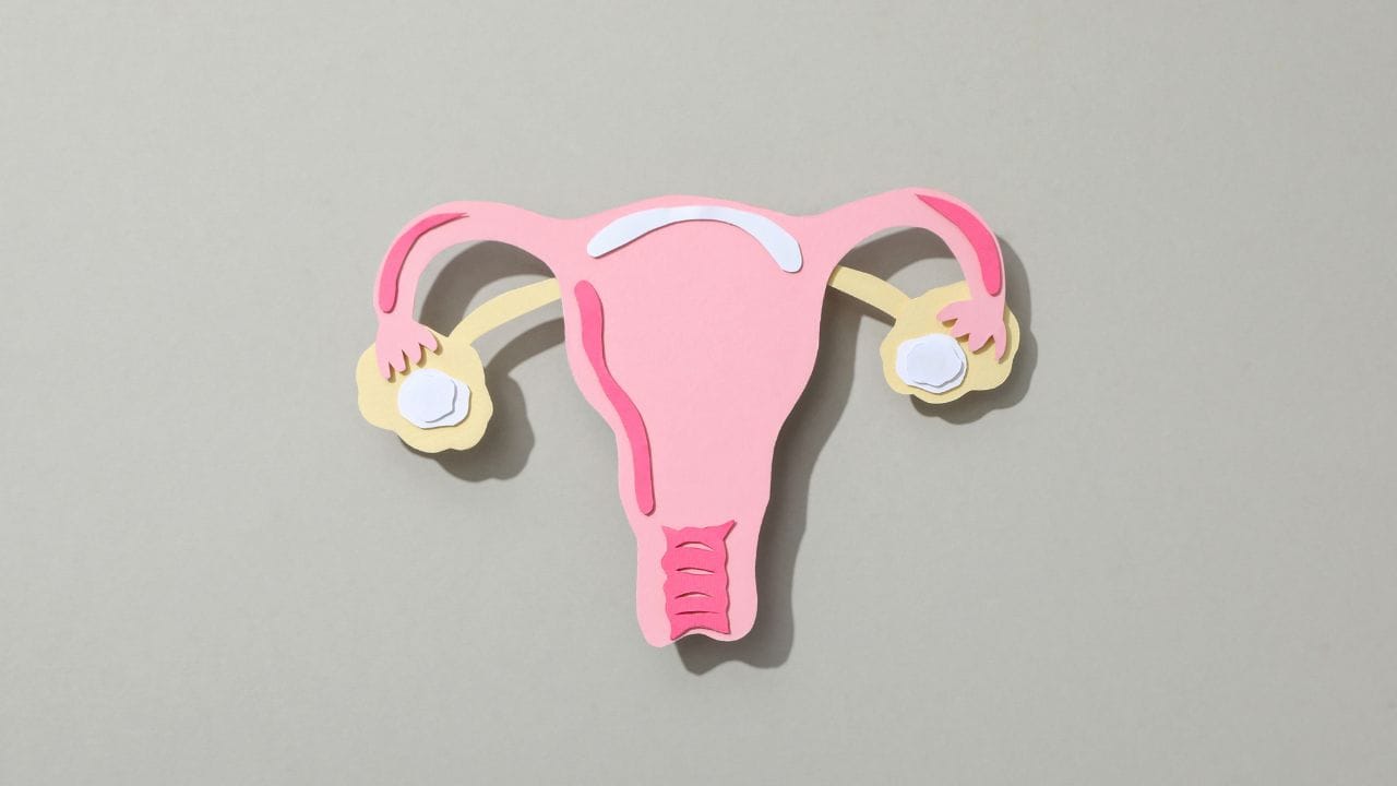 Now the question comes in the mind of women whether white water is normal after periods or not. Women start to get white water during ovulation before the period starts. This condition is considered normal. White water becomes a problem when itching or odor is also there.