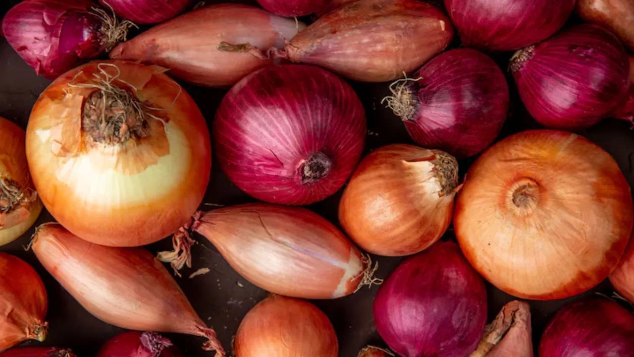 ડુંગળીનો રસ કાઢો, થોડું પાણી ઉમેરો અને તેને સ્પ્રે બોટલમાં ભરો. હવે આ મિશ્રણને એવા ખૂણામાં સ્પ્રે કરો કે, જ્યાં જંતુઓનું જોખમ વધારે હોય. આની ગંધ જંતુઓને અને ગરોળીને ભગાડે છે. આ રીતે, ડુંગળી તમારી ઘણી સમસ્યાઓ દૂર કરી શકે છે.