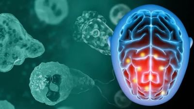 કેરળ કેમ બને છે બીમારીઓનું એન્ટ્રી પોઈન્ટ ? રોગચાળાઓથી ત્રાસી ગયું આરોગ્ય મોડેલ