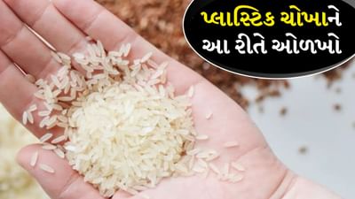 Fake Rice: શું તમે પણ નકલી ચોખા ખાઈ રહ્યા છો? આ સરળ પદ્ધતિઓથી ભેળસેળ ઓળખો, જુઓ Video