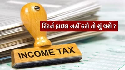 સેન્ટ્રલ બોર્ડ ઓફ ડાયરેક્ટ ટેક્સ વિભાગે નાણાકીય વર્ષ 2024-25 માટે આવકવેરા રિટર્ન ફાઇલ કરવાની છેલ્લી તારીખ 15 સપ્ટેમ્બર, 2025 એટલે કે આજે છે. જો તમે આ સમયમર્યાદામાં ITR ફાઇલ નહીં કરો તો શું થશે? ચાલો આ પ્રશ્નનો જવાબ આપીએ અને તમારી પાસે કયા વિકલ્પો હશે તે વિશે વિગતવાર જણાવીએ.