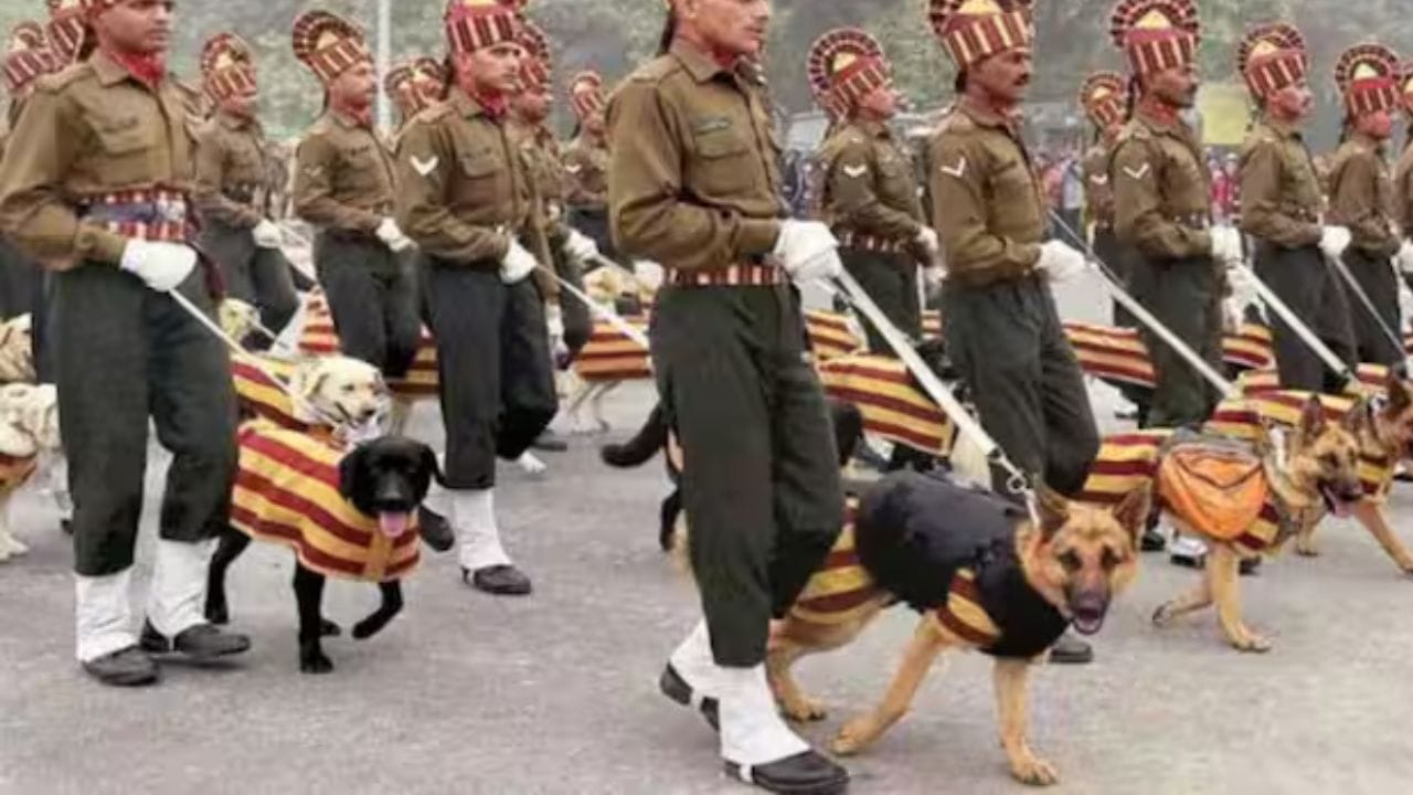 ભારતીય સેના મુખ્યત્વે લેબ્રાડોર, બેલ્જિયન માલિનોઇસ, જર્મન શેફર્ડ અને મુધોલ હાઉન્ડ અને રાજપલયમ જેવી સ્વદેશી જાતિઓને તાલીમ આપે છે. આ જાતિઓ તેમની સુંઘવાની ક્ષમતા, ચપળતા અને શિસ્તના આધારે પસંદ કરવામાં આવે છે.