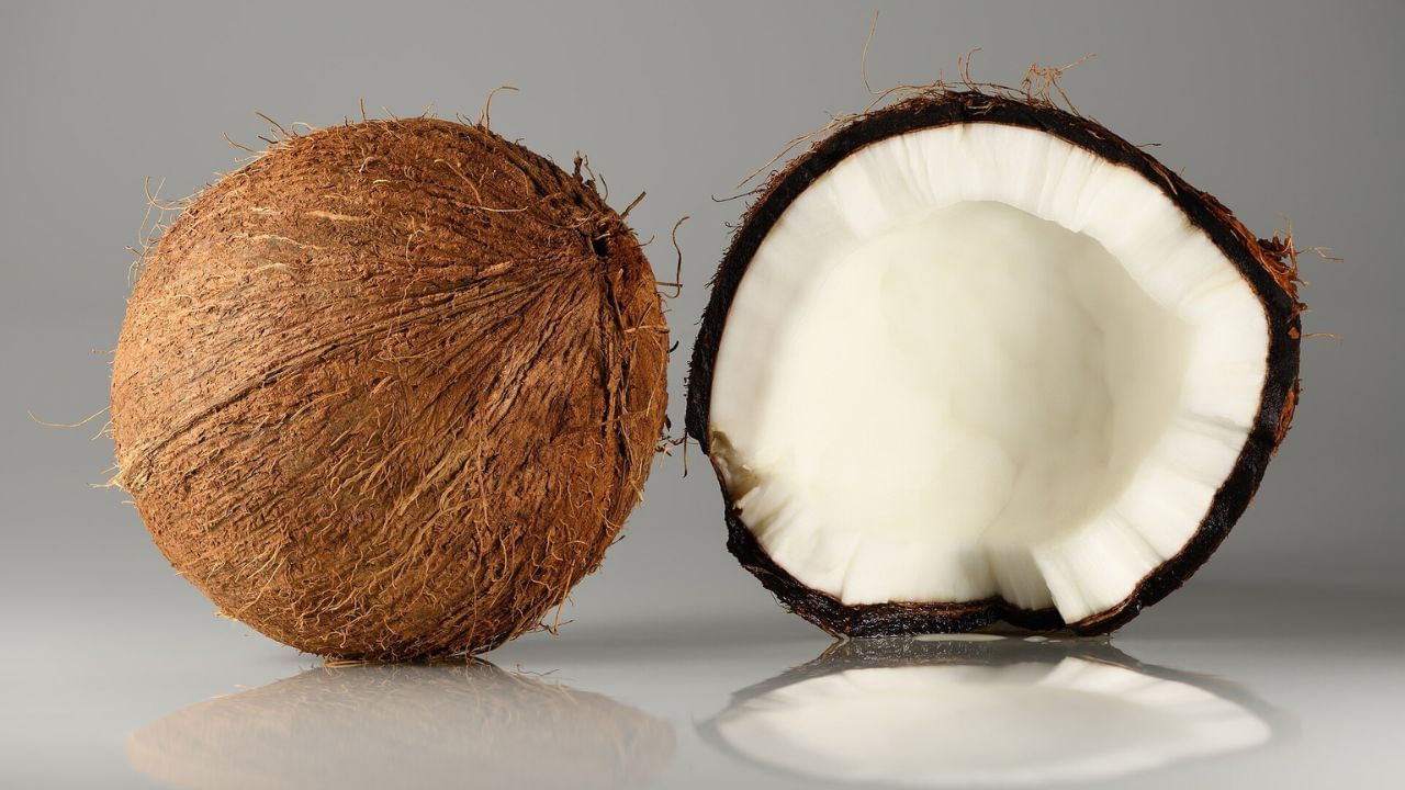 ડૉક્ટરે સલાહ આપી છે કે એક કે દોઢ ઇંચના સુકા નારિયેળના ટુકડાથી વધુ ન ખાવું જોઈએ. ડાયાબિટીસ, ઉચ્ચ કોલેસ્ટ્રોલ, કિડની અથવા હૃદયની સમસ્યાઓ ધરાવતા કોઈપણ વ્યક્તિએ તેનું સેવન કરતા પહેલા નિષ્ણાતની સલાહ લેવી જોઈએ. કારણ કે તેમાં શુગર અને ચરબી બંને હોય છે.
