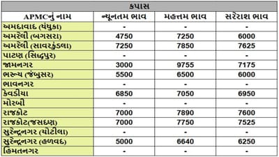 કપાસના તા.03-09-2025ના રોજ APMCના ભાવ રૂ.3000 થી 9755 રહ્યા.