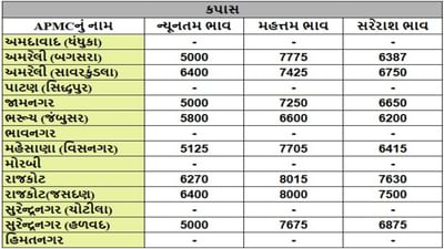 કપાસના તા.20-09-2025ના રોજ APMCના ભાવ રૂ.5000 થી 8015 રહ્યા.