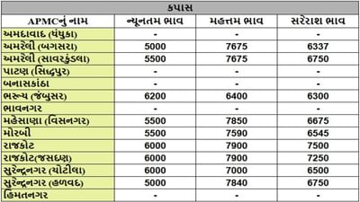 કપાસના તા.23-09-2025ના રોજ APMCના ભાવ રૂ.5000 થી 7900 રહ્યા.