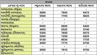કપાસના તા.24-09-2025ના રોજ APMCના ભાવ રૂ.4500 થી 8030 રહ્યા.