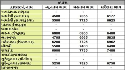 કપાસના તા.25-09-2025ના રોજ APMCના ભાવ રૂ.4500 થી 7855 રહ્યા.