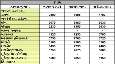 કપાસના તા.27-09-2025ના રોજ APMCના ભાવ રૂ.2500 થી 7850 રહ્યા.