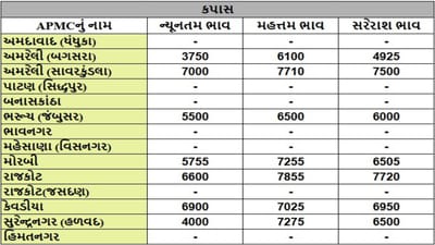 કપાસના તા.04-09-2025ના રોજ APMCના ભાવ રૂ.3750 થી 7855 રહ્યા.
