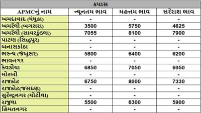 કપાસના તા.10-09-2025ના રોજ APMCના ભાવ રૂ.3500 થી 8100 રહ્યા.