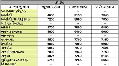 કપાસના તા.10-09-2025ના રોજ APMCના ભાવ રૂ.4600 થી 8150 રહ્યા.