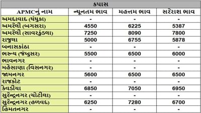 કપાસના તા.11-09-2025ના રોજ APMCના ભાવ રૂ.4550 થી 8090 રહ્યા.