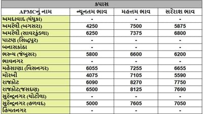 કપાસના તા.16-09-2025ના રોજ APMCના ભાવ રૂ.4075 થી 8275 રહ્યા.
