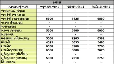 કપાસના તા.18-09-2025ના રોજ APMCના ભાવ રૂ.4325 થી 8200 રહ્યા.