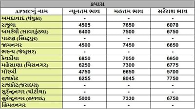 કપાસના તા.19-09-2025ના રોજ APMCના ભાવ રૂ.4500 થી 8045 રહ્યા.