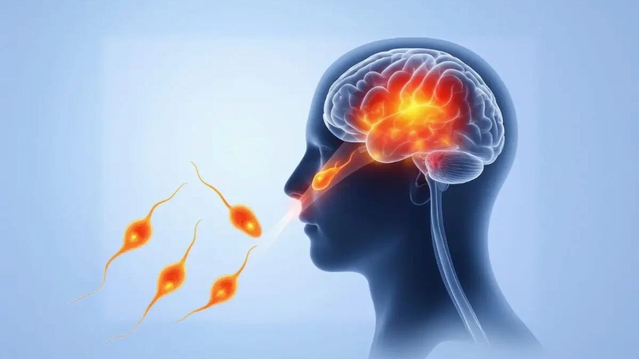 'ચેપગ્રસ્ત દર્દીઓ બેભાન, વાઈના હુમલા અને ઘણી ગંભીર સમસ્યાઓથી પીડાય છે. હોસ્પિટલમાં દાખલ થયા પછી પણ તેમની સ્થિતિ વધુ ખરાબ થાય છે અને ખૂબ ઓછા દર્દીઓ બચી જાય છે. તેથી જ્યારે પણ તમે સ્વિમિંગ પૂલ અથવા પાણીના અન્ય કોઈ સ્ત્રોતનો ઉપયોગ કરો છો, ત્યારે પાણીની ગુણવત્તાનું ધ્યાન રાખો.'
