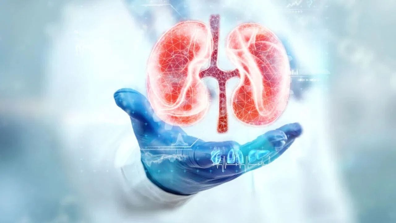 Kidney 1
