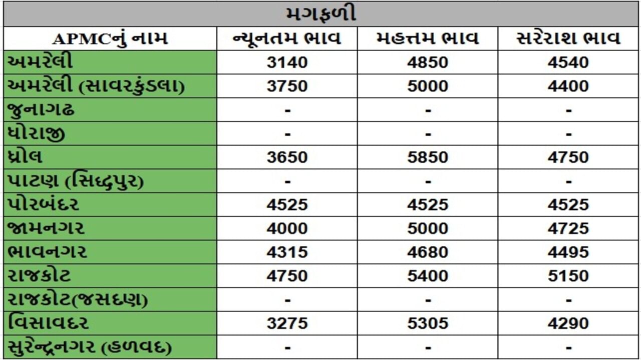 મગફળીના તા.25-09-2025ના રોજ APMCના ભાવ રૂ.3140 થી 5850 રહ્યા.