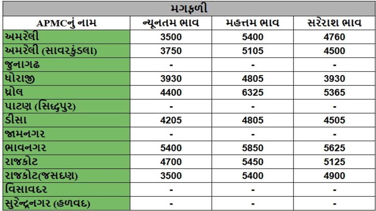 મગફળીના તા.16-09-2025ના રોજ APMCના ભાવ રૂ.3500 થી 6325 રહ્યા.