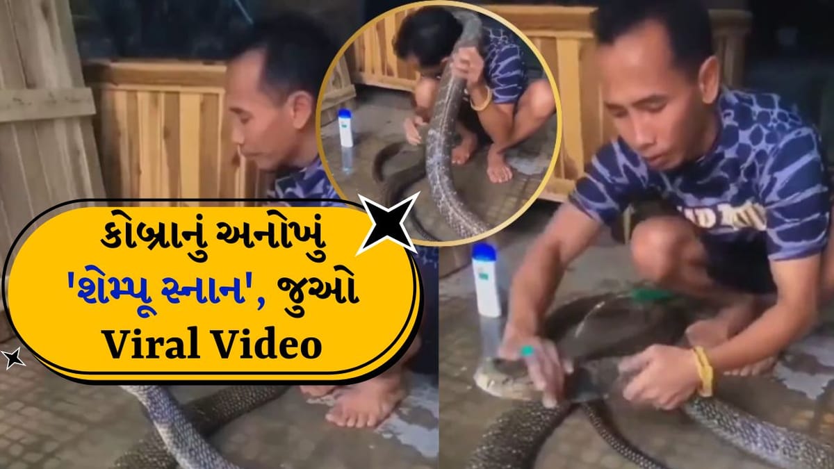 Viral video: લો બોલો, હવે આ જ જોવાનું બાકી રહ્યું હતું, સાપને શેમ્પુથી નવડાવ્યો, જુઓ Viral Video