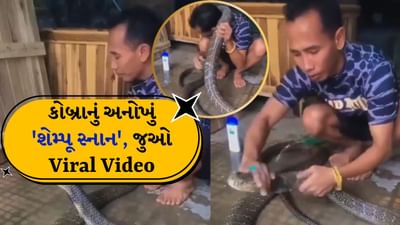 Viral video: લો બોલો, હવે આ જ જોવાનું બાકી રહ્યું હતું, સાપને શેમ્પુથી નવડાવ્યો, જુઓ Viral Video