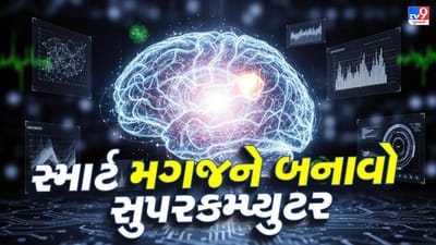 જો તમે ઈચ્છો છો કે તમારી યાદશક્તિ વધારે મજબૂત, ચુસ્ત અને તેજ બને, તો તેની માટે દૈનિક જીવનશૈલીમાં ખાસ ધ્યાન આપવું જરૂરી છે. ખાસ કરીને તમારા આહારમાં એવી ખાદ્ય વસ્તુઓનો સમાવેશ કરવો ખૂબ જ ફાયદાકારક સાબિત થઈ શકે છે, જે મગજને પોષણ આપે છે અને તેની કાર્યક્ષમતા વધારે છે. ( Credits: AI Generated )