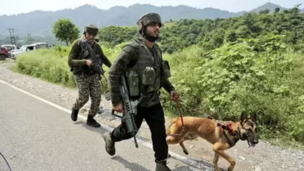 આ તાલીમમાં કૂતરાઓની સાથે, તેમના સંભાળનારાઓને પણ તાલીમ આપવામાં આવે છે જેથી તેમની વચ્ચે પરસ્પર સંકલન રહે. ભારતીય સેનાની ડોગ સ્ક્વોડએ ઘણી વખત દેશને ગૌરવ અપાવ્યું છે. કારગિલ યુદ્ધ (1999) દરમિયાન, કૂતરાઓએ લેન્ડમાઇન શોધી કાઢ્યા હતા. તાલીમ પૂર્ણ કર્યા પછી આ કૂતરાઓ 8 થી 10 વર્ષ સુધી સેનામાં સેવા આપે છે.