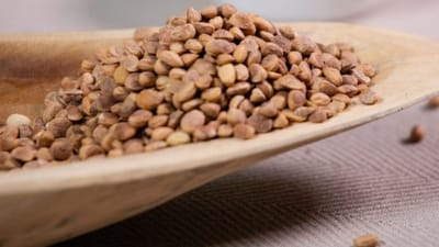 ચારોળીમાં પ્રોટીન, ફાઇબર, વિટામિન અને આયર્ન, કેલ્શિયમ અને મેગ્નેશિયમ જેવા ખનિજોથી ભરપૂર છે. દૂધ સાથે ભેળવવામાં આવે ત્યારે, તે કેલ્શિયમ, વિટામિન ડી અને પ્રોટીનનું પ્રમાણ વધારે છે, જે શરીરને શક્તિ આપે છે.