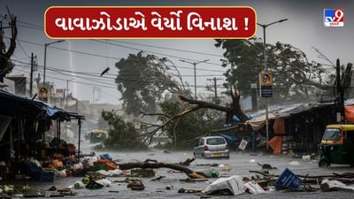 Breaking News : નવસારીમાં વાવાઝોડાએ વેર્યો વિનાશ, ભારે પવનથી અનેક ઘરોના ઉડ્યા પતરા, 5 લોકો થયા ઇજાગ્રસ્ત Breaking News : નવસારીમાં વાવાઝોડાએ વેર્યો વિનાશ, ભારે પવનથી અનેક ઘરોના ઉડ્યા પતરા, 5 લોકો થયા ઇજાગ્રસ્ત