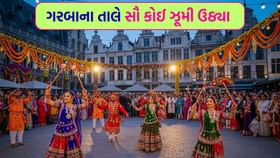 રસિયાઓએ નવરાત્રિમાં ચાર ચાંદ લગાવ્યા - જુઓ Video
